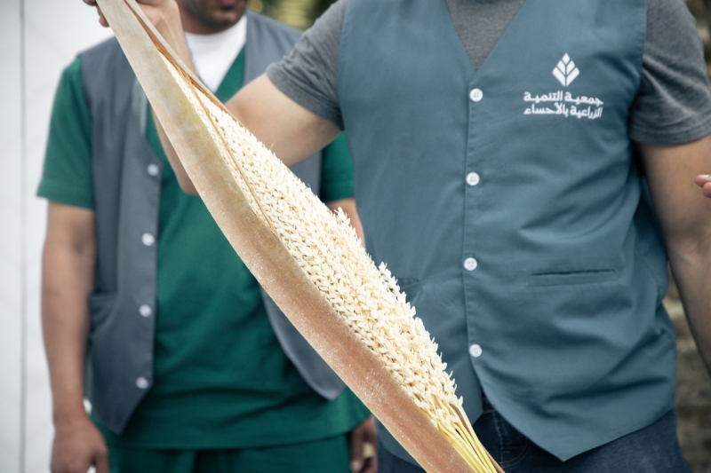 صورة الخبر