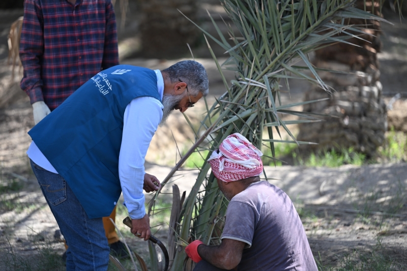 صورة البرنامج